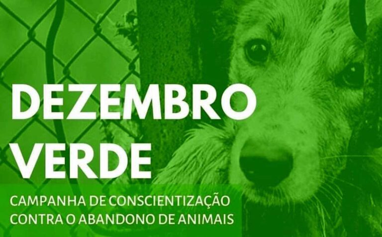 DEZEMBRO VERDE: PARAÍBA REALIZA EVENTO PARA CONSCIENTIZAÇÃO E COMBATE AO ABANDONO DE ANIMAIS